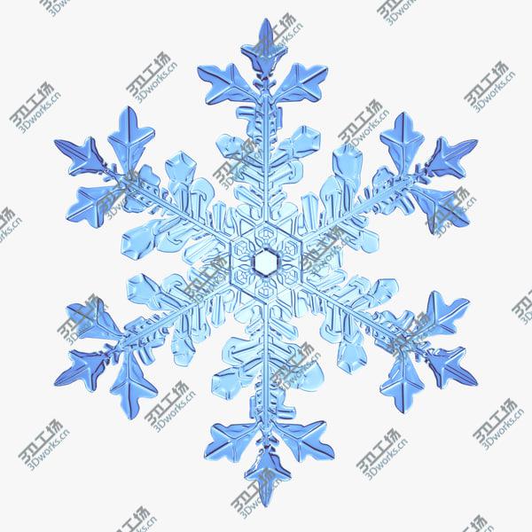 images/goods_img/20210312/Collection of Snowflakes/2.jpg